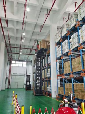 Mua Trung Quốc Nhà sản xuất Hệ thống Cầm Kệ Pallet Shuttle sản xuất trực tuyến