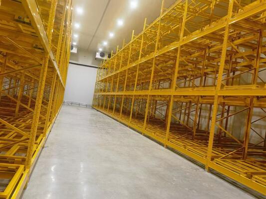 Hệ thống xếp hàng đẩy trở lại Giải pháp lưu trữ mật độ cao cho hiệu suất nhanh hơn và sử dụng không gian tốt hơn